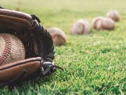 Ball Glove